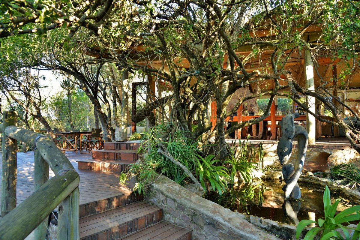 Cedarberg Travel | Sibuya Game Reserve River Camp