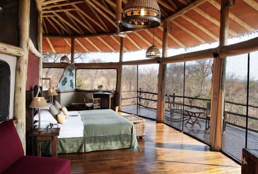 Elevated Treetop Suite