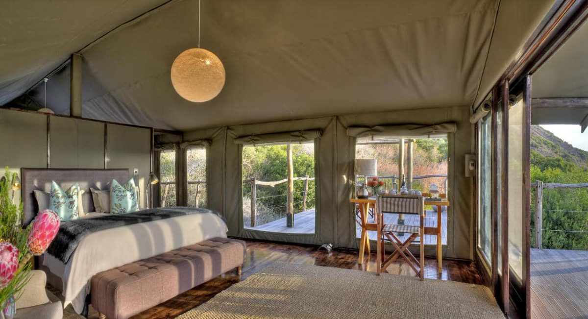 Cedarberg Travel | Amakhala HillsNek Safari Camp