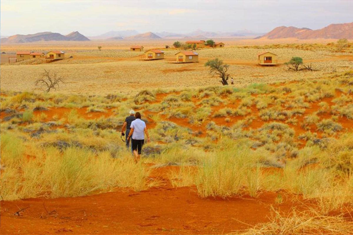 Cedarberg Travel | Namib Dune Star Camp