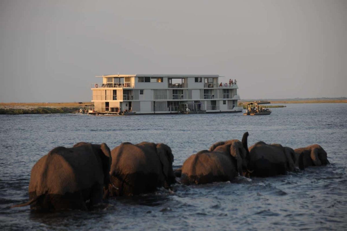 Cedarberg Travel | Zambezi Queen Collection