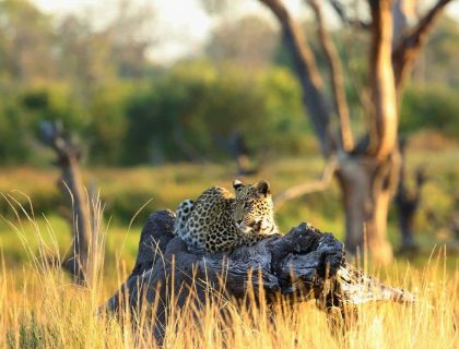 Botswana Community & Conservation Safari Offer