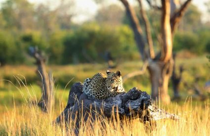 Botswana Community & Conservation Safari Offer