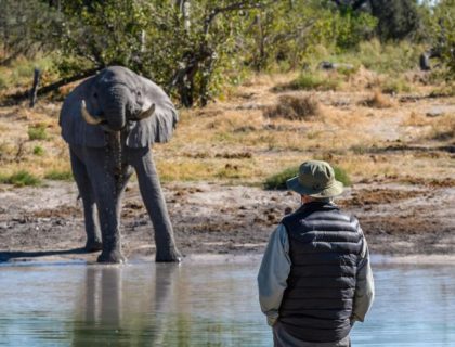 Simbavati trails camp -walking safaris in south africa