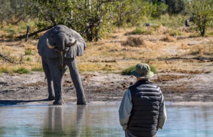 Simbavati Wildlife & Walking Safari
