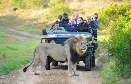 Safari Clothing in Africa – Top Tips for Winter