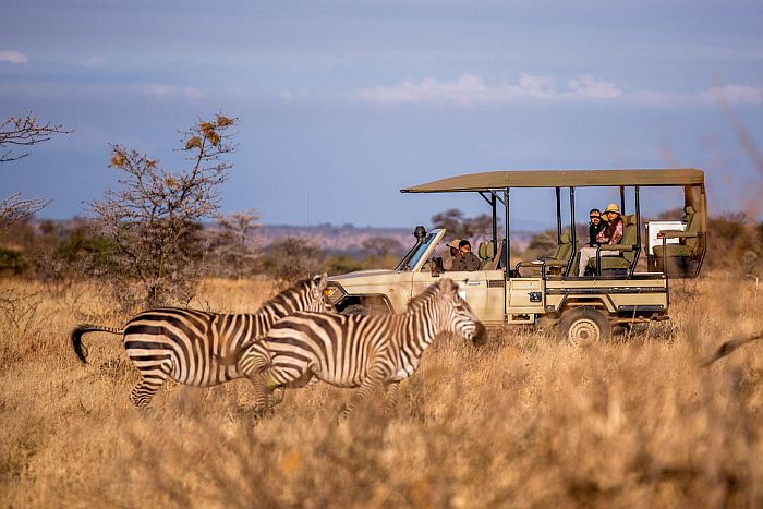 Safari in Tarangire National Park - zebra on game drive