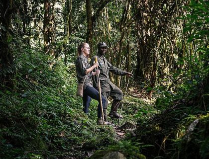 Gorilla Luxury Fly-in Safari in Uganda