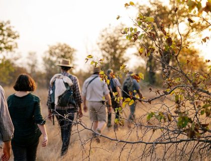 Simbavati Trails Camp walking safari