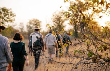 7 must-visit lodges for walking safari enthusiasts