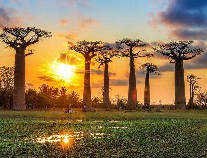 Baobab alley in Western Madagascar