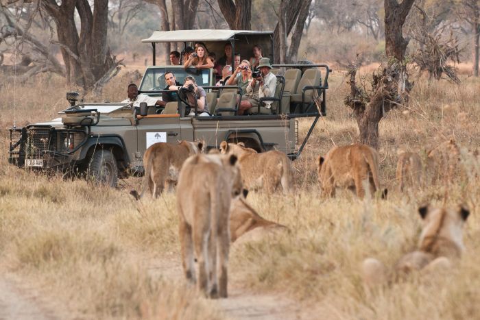Cedarberg_Africa_Machaba-Camp_game_drive-700