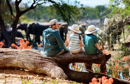 Malaria Free Game Reserves in South Africa in 2026