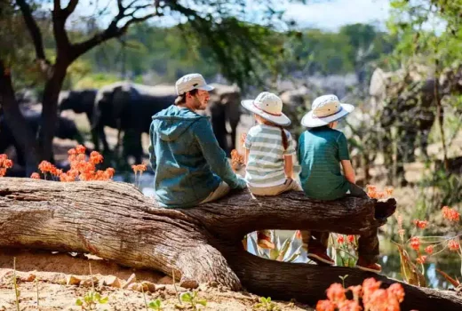 Malaria Free Game Reserves in South Africa in 2026