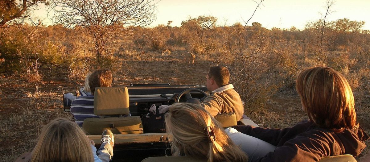 Cedarberg Travel | Madikwe Safari Getaway 3 Nights