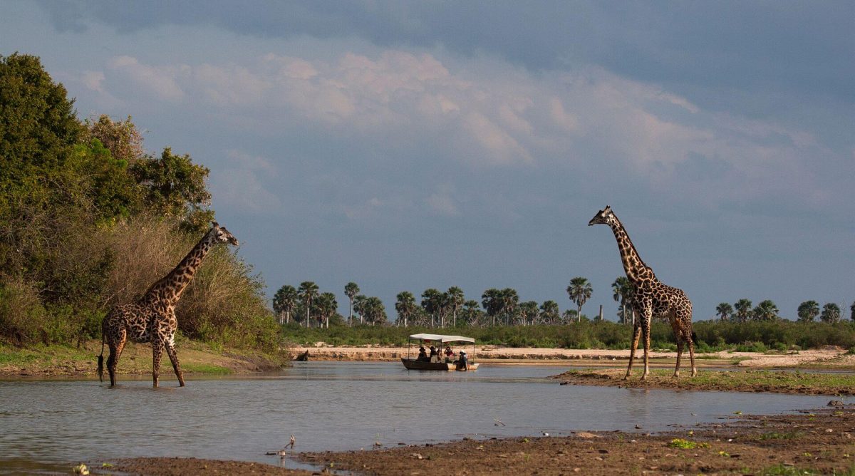 Safari in Nyerere National Park, boat safari
