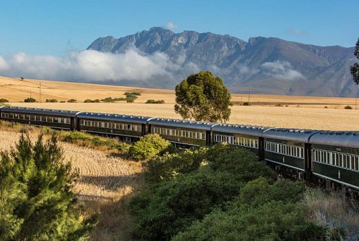 Rovos Rail African Collage Luxury Train Journey 12 nights
