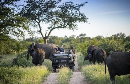 Private Game Reserves or Private Concessions for your Kruger safari?