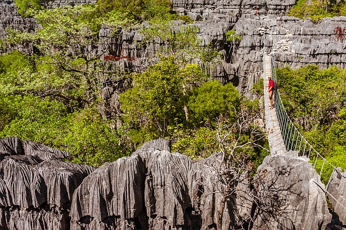 Ankarana Special Reserve, northern Madagascar
