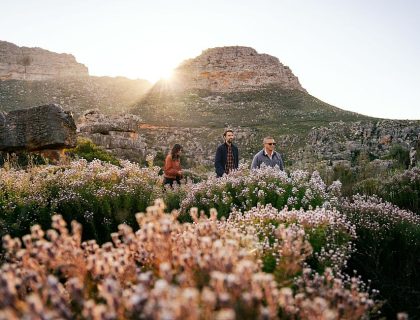 Cederberg Ridge - walking