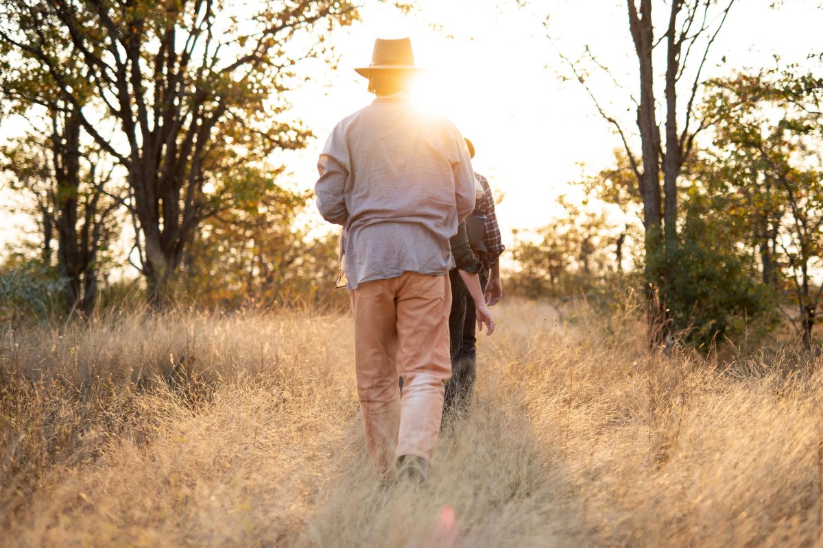 Cedarberg Travel | Simbavati Trails Camp