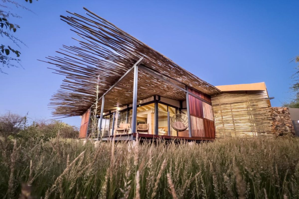 Cedarberg Travel | Andersson's @ Ongava