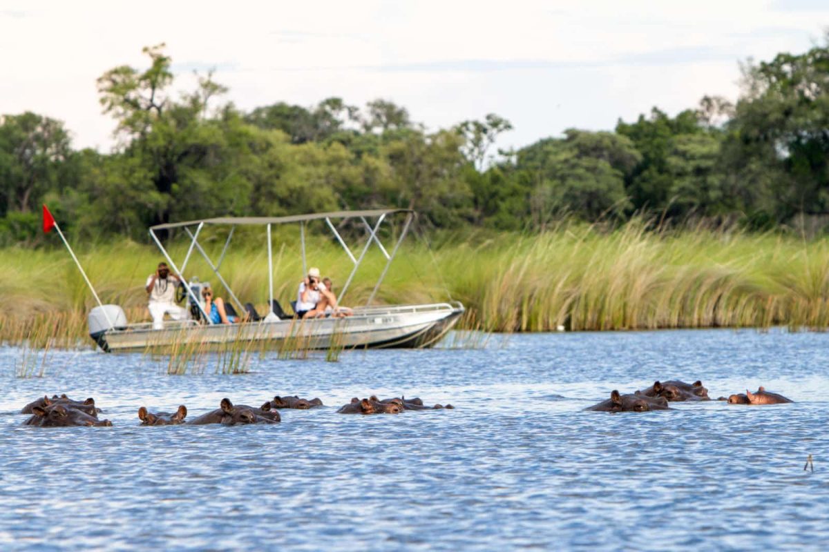 Cedarberg Travel | Affordable Botswana Safari