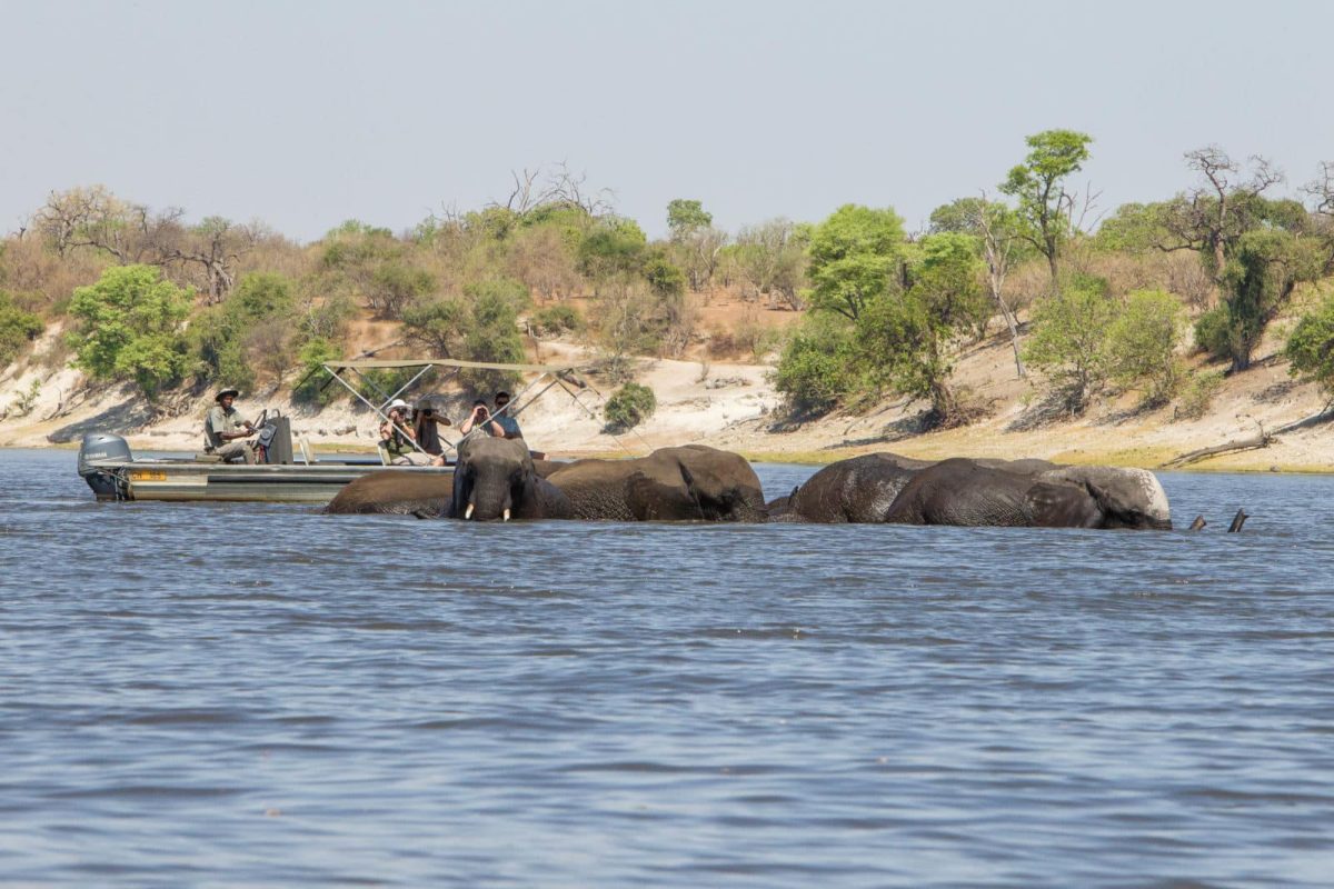 Cedarberg Travel | Affordable Botswana Safari