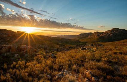 Cederberg & West Coast Explorer