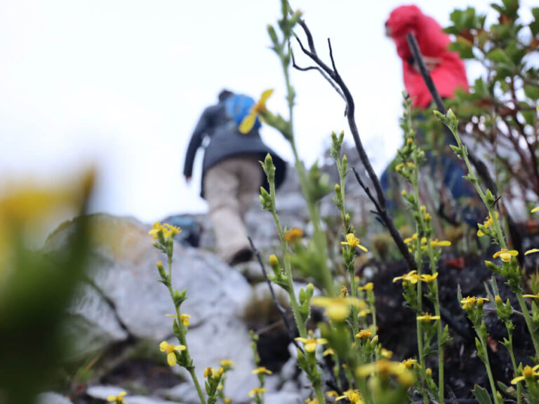 Cedarberg Travel | Kogelberg Camino Slackpacking Trail