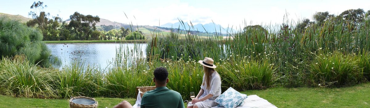 Cedarberg Travel | Jordan Wine Estate