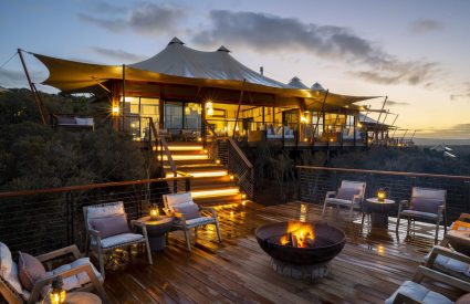 Sindile at Shamwari Private Game Reserve