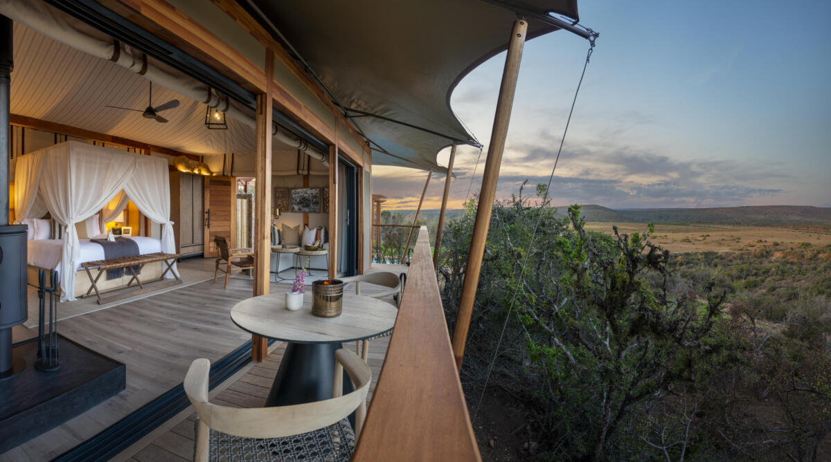 Cedarberg Travel | Sindile at Shamwari Private Game Reserve