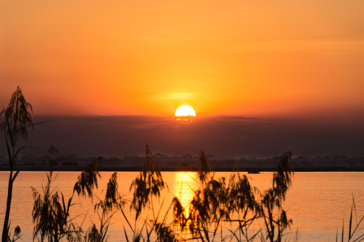Cedarberg Travel | Blue Zebra Island Lodge