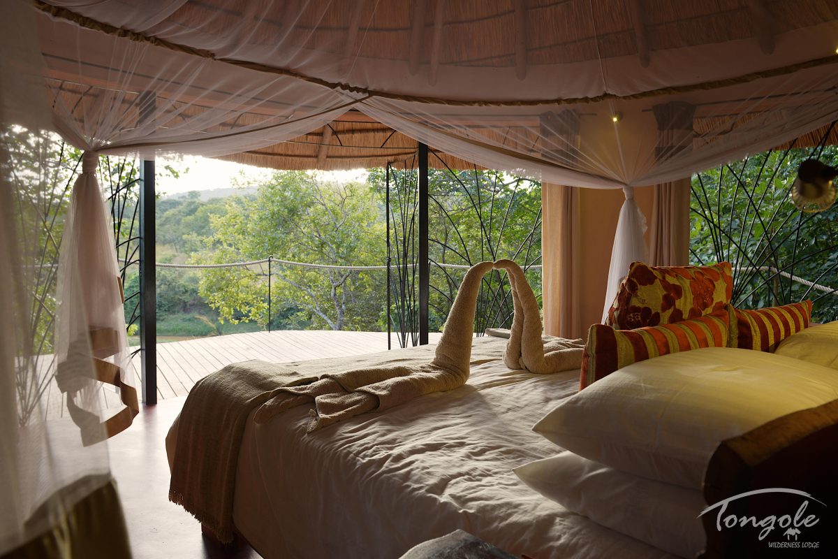 Cedarberg Travel | Tongole Wilderness Lodge