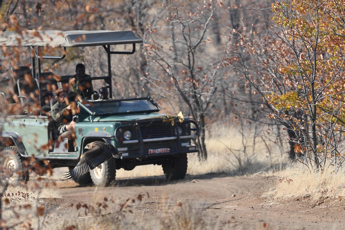 Cedarberg Travel | Daka Plains Camp