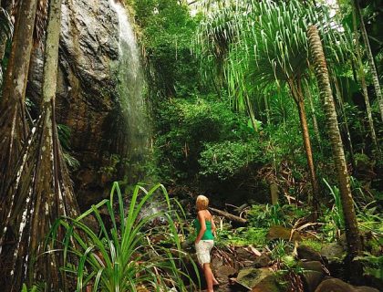 Waterfall in Valle de Mai, Praslin beach holidays & beach resorts