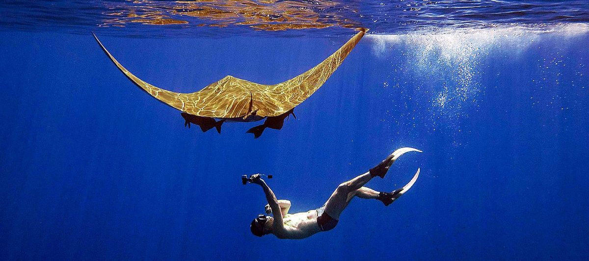 Cedarberg Travel | St Helena tour