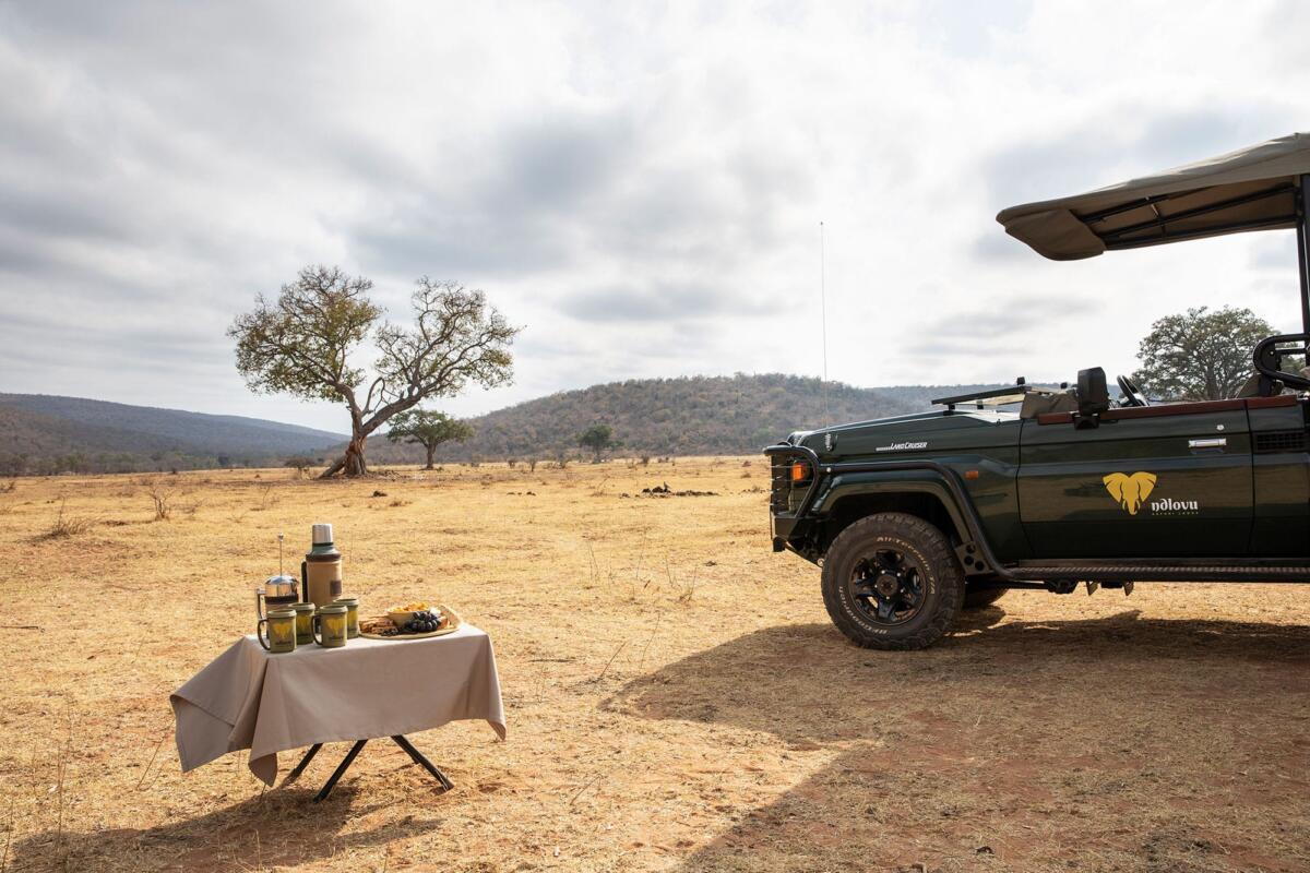 Cedarberg Travel | Ndlovu Safari Camp