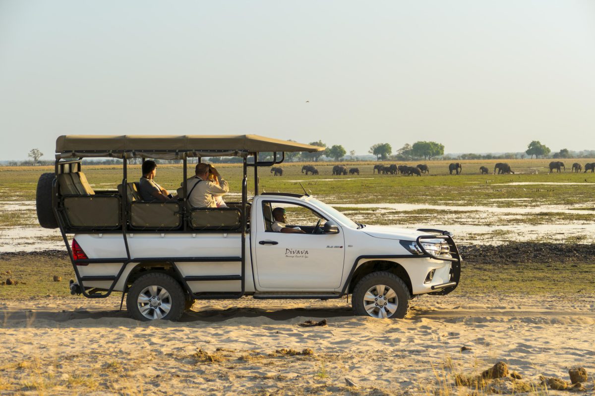 Cedarberg Travel | Divava Okavango Resort & Spa