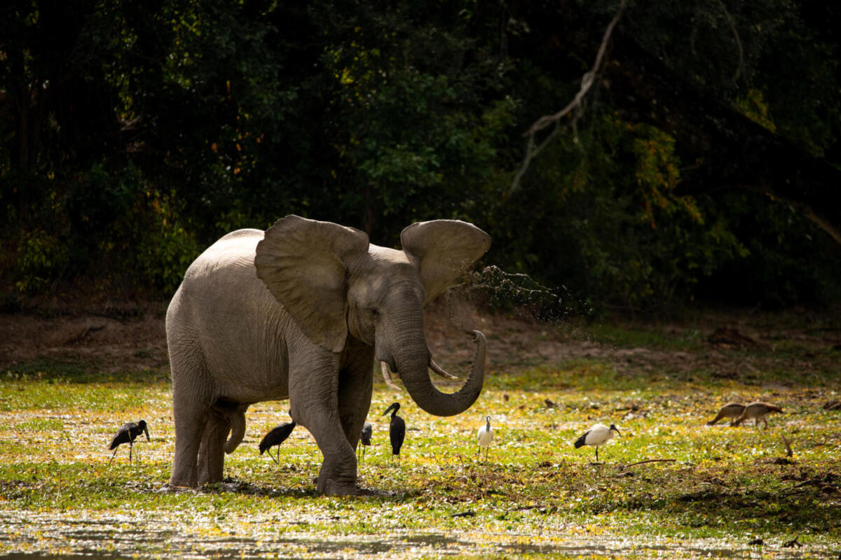 Cedarberg Travel | Ingwe Pan Camp