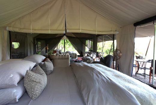 Luxury Family Tent