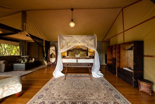 Safari Tents