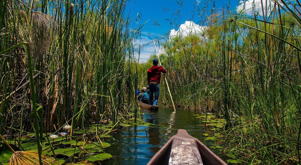 Okavango Delta safari - mokoros