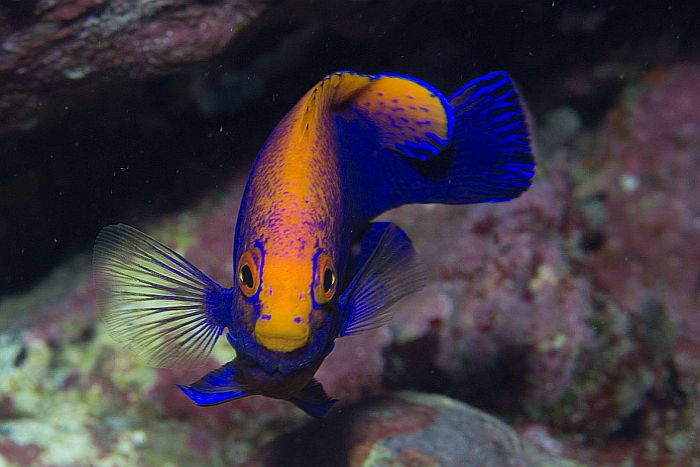 Cedarberg Travel | St Helena tour