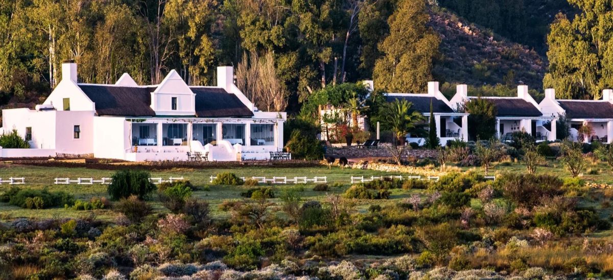 Cedarberg Travel | Galenia Estate
