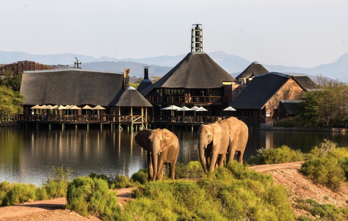 Cedarberg Travel | Buffelsdrift Game Lodge