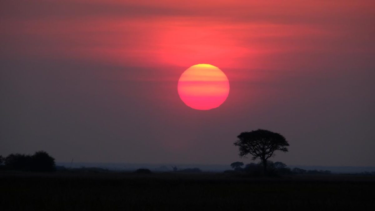 Cedarberg Travel | Busanga Plains Camp