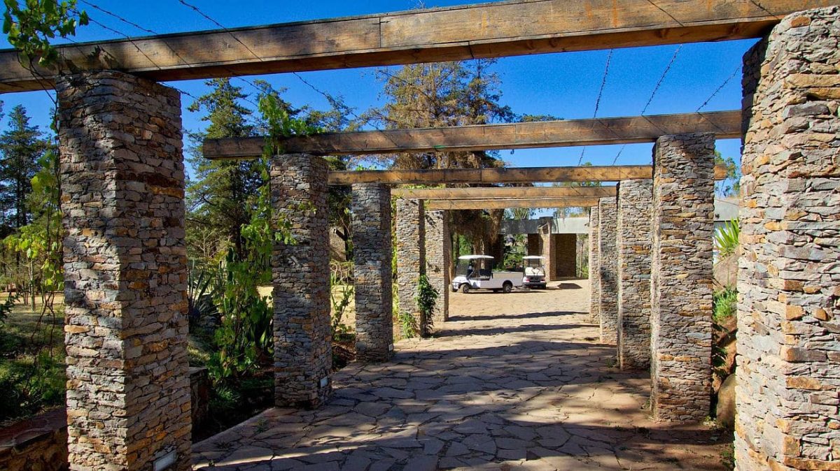 Cedarberg Travel | Gondar Hills Resort