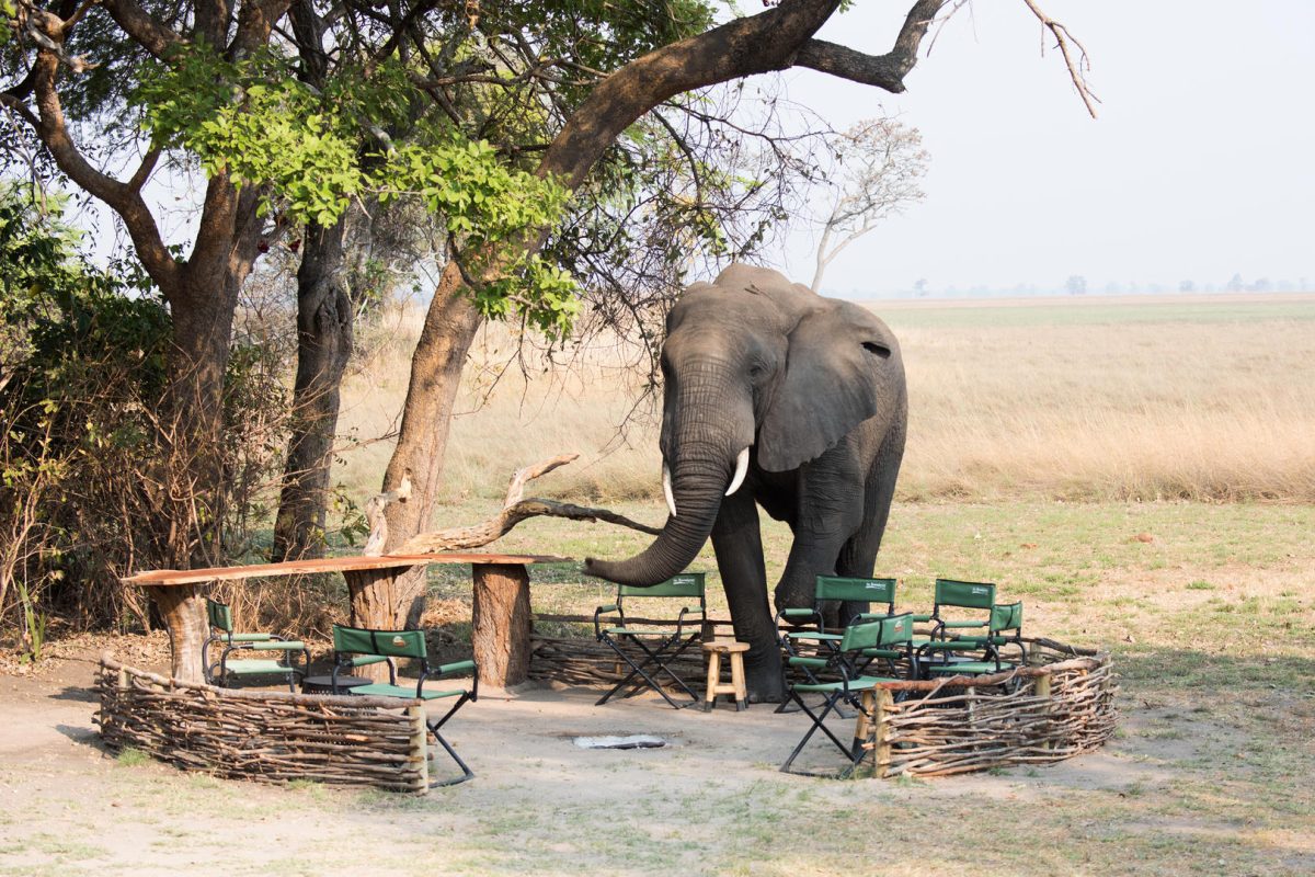 Cedarberg Travel | Chisa Busanga Camp